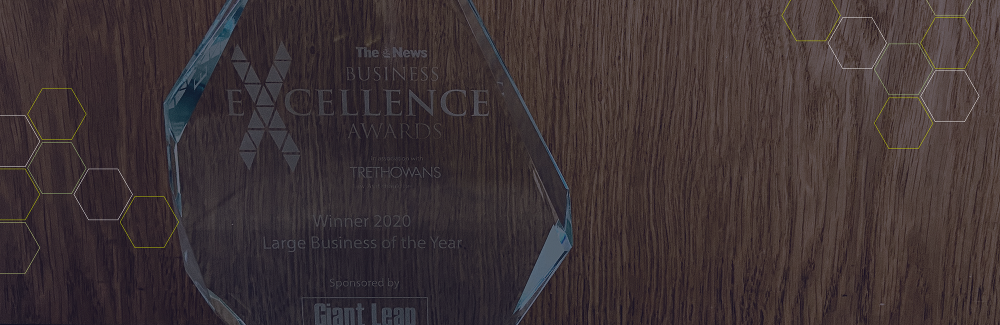 the business excellence award for large business of the year 2020